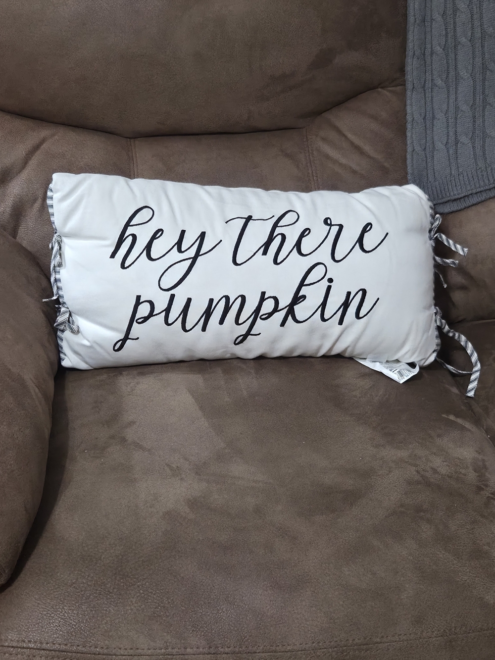 Hey There Pumpkin Decorative Throw Pillow - White